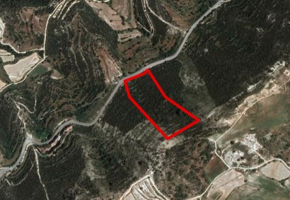 Mousere, Paphos Agricultural Land For Sale | C1640