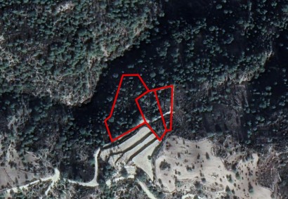 Arminou, Paphos Agricultural Land For Sale | C1687