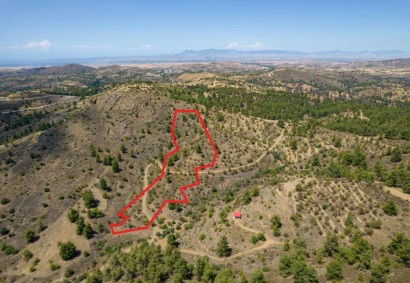 Xyliatos, Nicosia Agricultural Land For Sale | C1691