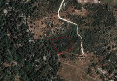 Dora, Limassol Agricultural Land For Sale | C1725