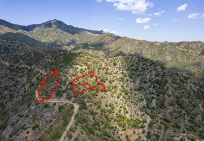 Sykopetra, Limassol Agricultural Land For Sale | C1728