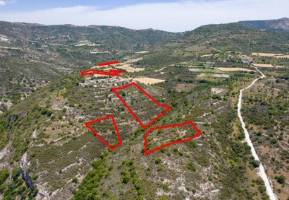 Dora, Limassol Agricultural Land For Sale | C1750
