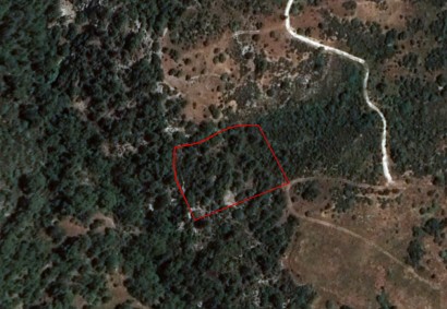 Dora, Limassol Agricultural Land For Sale | C1764