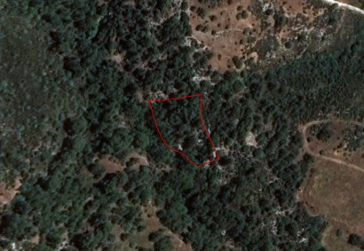 Dora, Limassol Agricultural Land For Sale | C1766