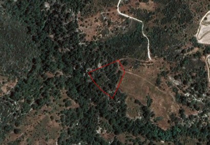 Dora, Limassol Agricultural Land For Sale | C1768