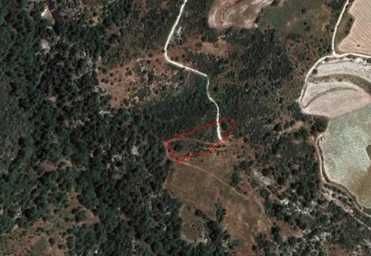 Dora, Limassol Agricultural Land For Sale | C1770