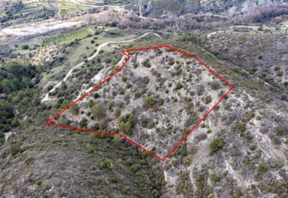 Dora, Limassol Agricultural Land For Sale | C1776
