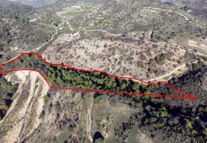 Mousere, Paphos Agricultural Land For Sale | C1779
