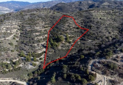 Mousere, Paphos Agricultural Land For Sale | C1782