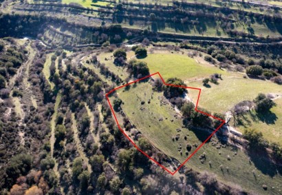 Dora, Limassol Agricultural Land For Sale | C1788