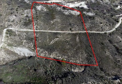 Trachypedoula, Paphos Agricultural Land For Sale | C1791