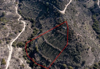 Dora, Limassol Agricultural Land For Sale | C1792
