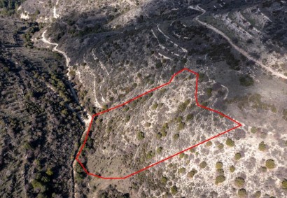 Dora, Limassol Agricultural Land For Sale | C1795