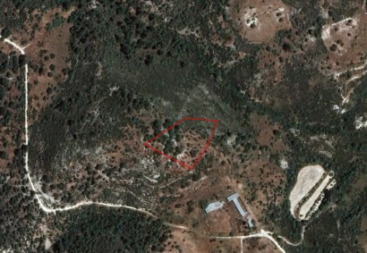 Dora, Limassol Agricultural Land For Sale | C1798