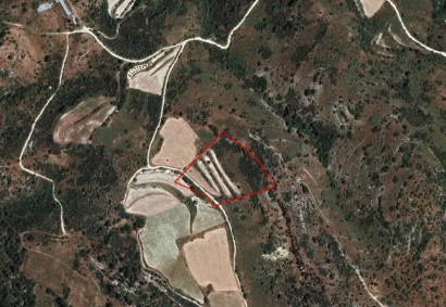 Dora, Limassol Agricultural Land For Sale | C1799