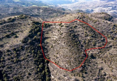 Dora, Limassol Agricultural Land For Sale | C1806