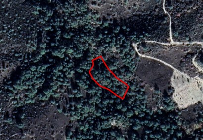 Dora, Limassol Agricultural Land For Sale | C1823