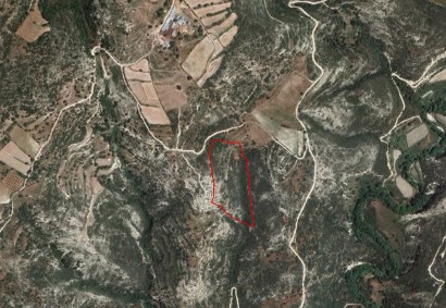 Dora, Limassol Agricultural Land For Sale | C1888