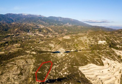 Omodos, Limassol Agricultural Land For Sale | C1893