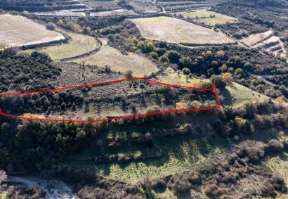 Dora, Limassol Agricultural Land For Sale | C1897