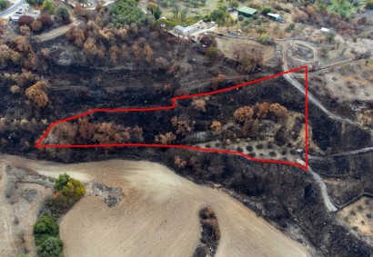 Drymou, Paphos Agricultural Land For Sale | C1902