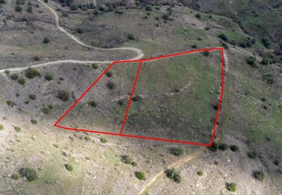 Pentalia, Paphos Agricultural Land For Sale | C1904