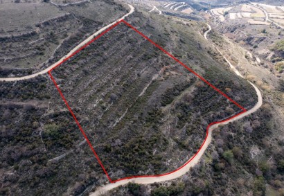 Arsos Lemesou, Limassol Agricultural Land For Sale | C1985