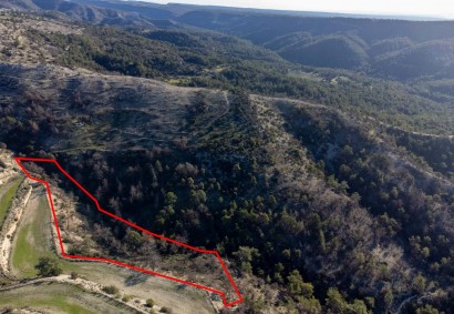 Archimandrita Pano Agricultural Land For Sale | C1989