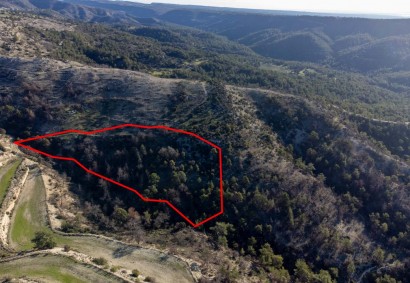 Archimandrita Pano Agricultural Land For Sale | C1990