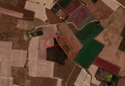Frenaros, Famagusta Agricultural Land For Sale | C2080