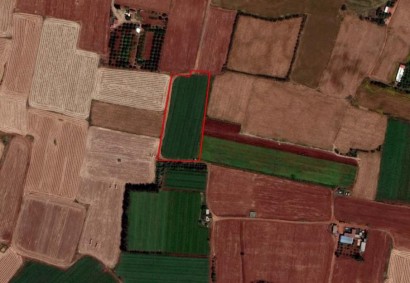 Frenaros, Famagusta Agricultural Land For Sale | C2083