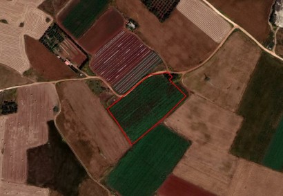 Frenaros, Famagusta Agricultural Land For Sale | C2086