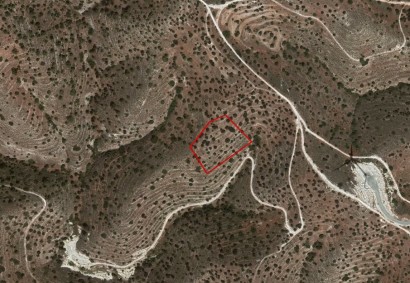 Psevdas, Larnaca Agricultural Land For Sale | C2169