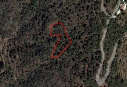 Vavatsinia, Larnaca Agricultural Land For Sale | C2176