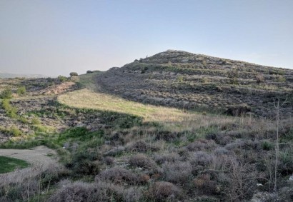 Avdellero, Larnaca Agricultural Land For Sale | C2193