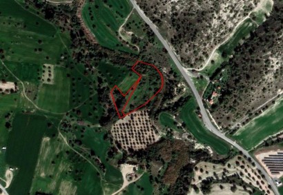 Alethriko, Larnaca Agricultural Land For Sale | C2222