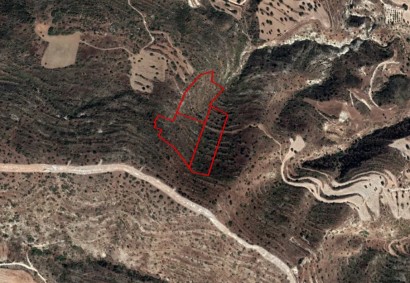 Agios Theodoros, Larnaca Agricultural Land For Sale | C2240