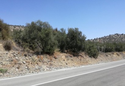 Skarinou, Larnaca Agricultural Land For Sale | C2381