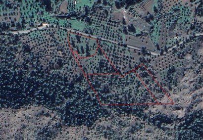 Kornos, Larnaca Agricultural Land For Sale | C2409