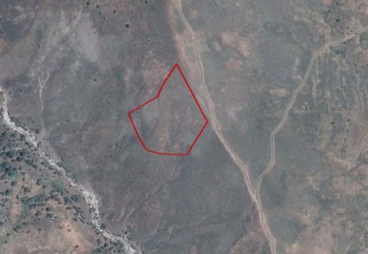 Koilineia, Paphos Agricultural Land For Sale | C2534