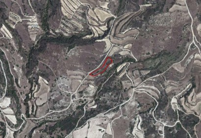 Psathi, Paphos Agricultural Land For Sale | C2541