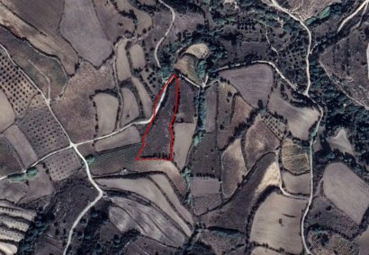 Thrinia, Paphos Agricultural Land For Sale | C2549