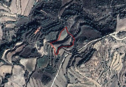 Lemona, Paphos Agricultural Land For Sale | C2566