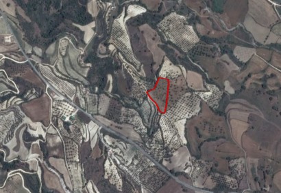 Simou, Paphos Agricultural Land For Sale | C2585