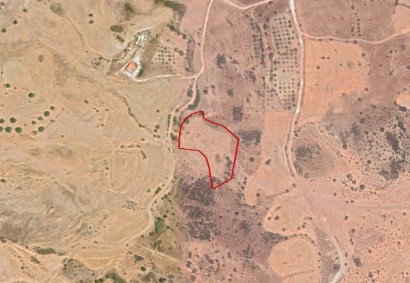 Nata, Paphos Agricultural Land For Sale | C2592