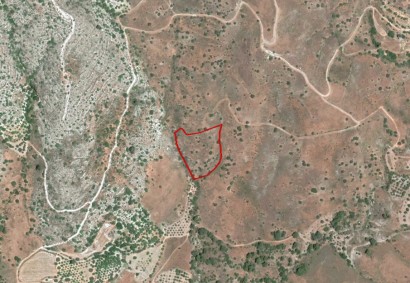 Pentalia, Paphos Agricultural Land For Sale | C2635