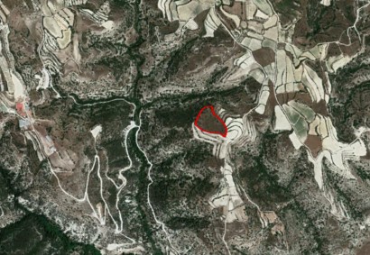 Letymvou, Paphos Agricultural Land For Sale | C2636