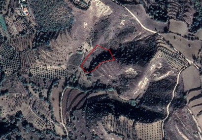 Giolou, Paphos Agricultural Land For Sale | C2651