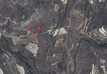 Choulou, Paphos Agricultural Land For Sale | C2665