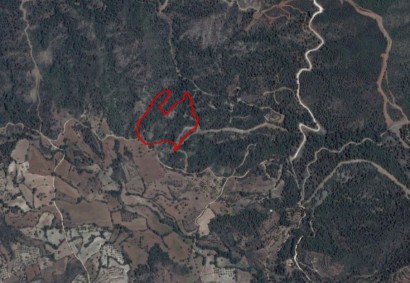 Lysos, Paphos Agricultural Land For Sale | C2666